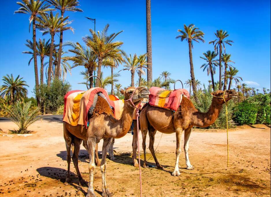 Gueliz Gala - Marrakech Centre * Marrakesch